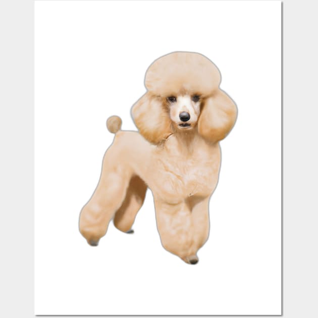 Cute Poodle Drawing Wall Art by Play Zoo